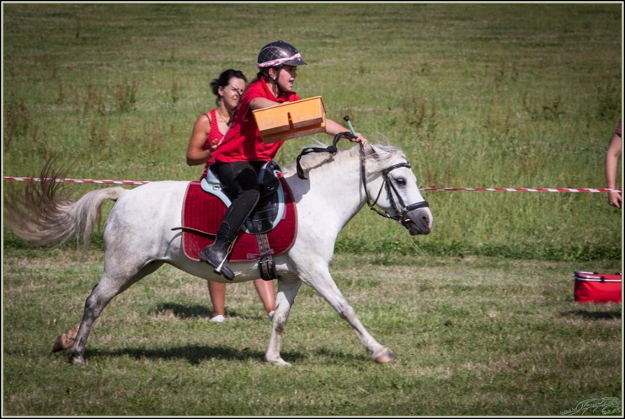 Mounted Games 317